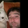 House sit pet parent - Dog sit, nice house, great area!