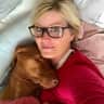 House sit pet parent - Cuddling Vizsla-dog at Lake Balaton, Hungary :-) In modern house with panorama