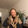 House sit pet parent - 2 sweet, loving kittens in Mill Valley, CA seeking sitter