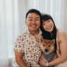 House sit pet parent - Brooklyn adventures with your new bestie Shiba!