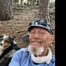 House sit pet parent - Mountain Home near Lake Tahoe and Sacramento