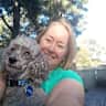 House sit pet parent - Peace & quiet with my dog for company near Bulli Beach for 2 weeks.