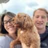 House sit pet parent - Adorable pup in need of love and beach walks
