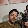 House sit pet parent - Looking for a caring sitter for our Frenchie Milo in Richmond