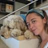 House sit pet parent - Needed - Last minute Dog & house sitter! Barcelona 17-19th Oct, English speaking