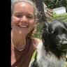 House sit pet parent - Caring dog sitter needed for our active dog in a lovely home