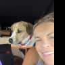 House sit pet parent - Love on 2 sweet dogs in a safe, gated community near hiking and beach