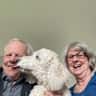 House sit pet parent - Ann, Harry and Kayla in Brighton