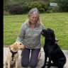 House sit pet parent - Beautiful dogs in a beautiful Cornish countryside require good dog sitters….