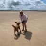 House sit pet parent - North Norfolk seaside house and dog sit