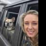 House sit pet parent - Beach getaway while looking after a Frenchie