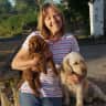 House sit pet parent - Large Farmhouse near Ledbury with Two Dogs