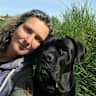 House sit pet parent - Family looking for a loving housesitter for our dog, 2 birds & home