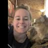 House sit pet parent - Cat sitter needed for one cat - 2 bedroom apt