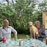 House sit pet parent - 2 friendly dogs need your company in the sunny countryside near Ronda