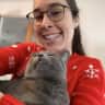 House sit pet parent - Single house cat in a new 2 bedroom home in beautiful Gardiner, ME