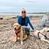 House sit pet parent - Dog loving couple needed to look after our two golden retrievers.