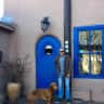 House sit pet parent - Paradise in the Cévennes