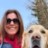 House sit pet parent - Charming family home with large garden and super friendly, easy-going dog.