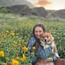 House sit pet parent - Corgi in Hawaii Kai