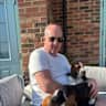 House sit pet parent - Perfect village in incredible location near Harrogate, 2 Basset pups 2 Shitsui