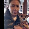 House sit pet parent - Sitter needed: a lovely well-behaved chihuahua and a cozy apartment in Prahran