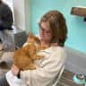 House sit pet parent - Need cat lover for my babies. Walkable neighborhood!