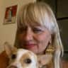 House sit pet parent - San Miguel De Allende, in a beautiful house with Lolita and Durga