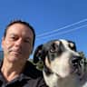 House sit pet parent - Beautiful Malmsbury Village in the Macedon Ranges - cosy, quiet and new house