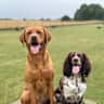 House sit pet parent - Loving duo looking for a caring house sitter