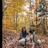 House sit pet parent - Very Easy-going Dog in Dreamy Mountain Town with Sauna and River