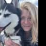 House sit pet parent - Easy-going Siberian Husky in Scotland