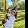 House sit pet parent - Stay in a spacious home with a playful dog