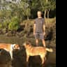 House sit pet parent - Dog lover wanted.