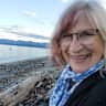 House sit pet parent - Comox holiday with one affectionate senior cat.