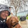 House sit pet parent - Enjoy amazing views from our waterfront home on Vashon Island!