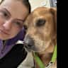 House sit pet parent - Riverside home stay with our 9 year old Cavador.
