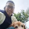 House sit pet parent - Golden retriever looking for cuddles 