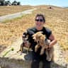 House sit pet parent - A Walker’s Heaven in Berkeley — Parks, Great Food & a Sweet Pup