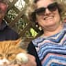 House sit pet parent - A countryside cottage with 2 captivating cats