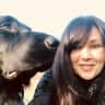 House sit pet parent - Two lovely dogs in beautiful East Lothian need a little love and care!