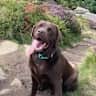 House sit pet parent - Test Listing, Only Private Dates Allowed