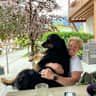 House sit pet parent - Stay in the cotswold town of Cheltenham