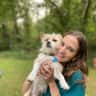 House sit pet parent - Large house in Carlisle PA, small dog sitter needed!