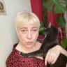 House sit pet parent - Great cat looking for petsitter in a colorful appartement.