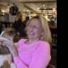 House sit pet parent - A peaceful and comfortable house with low maintenance cats and a friendly dog!