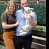 House sit pet parent - One low maintenance dog in the heart of Brooklyn with a back patio