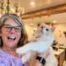 House sit pet parent - Spend six weeks in EcoPark, just outside of Hanoi, with friendly ragdoll cat