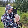 House sit pet parent - Heritage Church, on beautiful Northern Rivers property, with fur babies!
