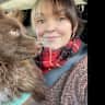House sit pet parent - Quirky cottage in quiet rural setting. Home to easy going pets